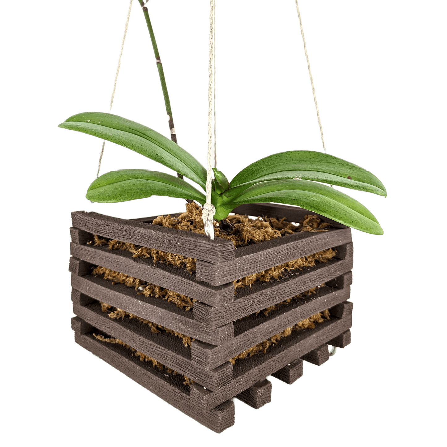ceramic basket - Mud and Plants