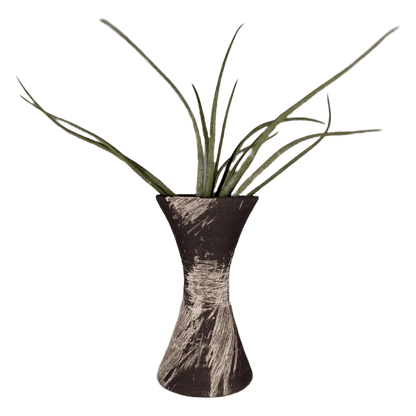 small air plant stand, large brush strokes - Mud and Plants