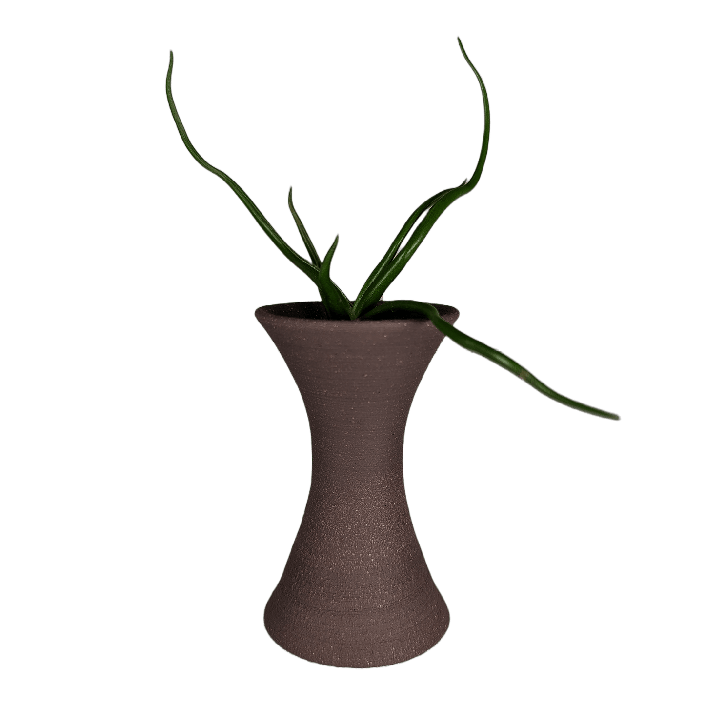 small air plant stand, no finish - Mud and Plants