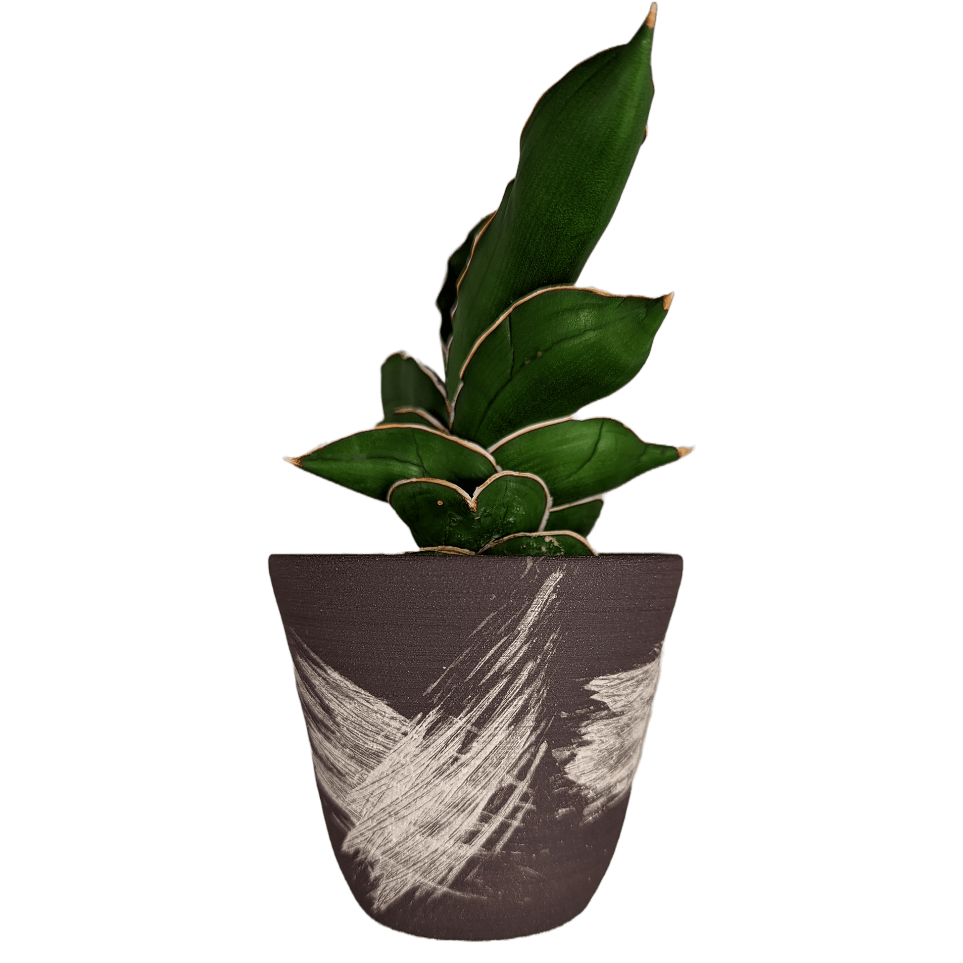 small plant pot, large brush marks - Mud and Plants