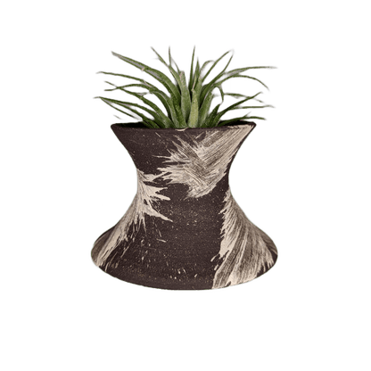 wide air plant stand, large brush marks - Mud and Plants